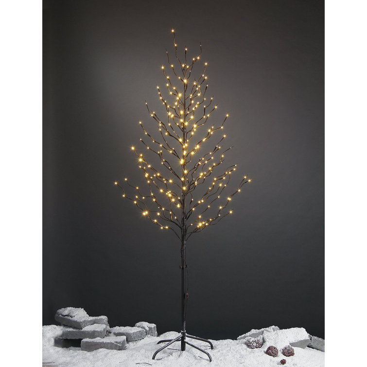 72'' LED Lighted Trees & Branches & Reviews Birch Lane